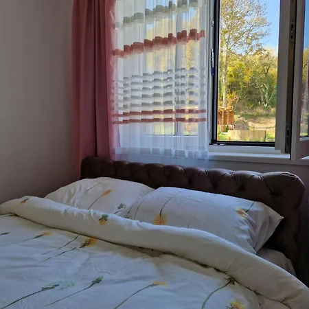 Aquarelle Sa Bazenom, Delux Sa Bazenom Apartamento
