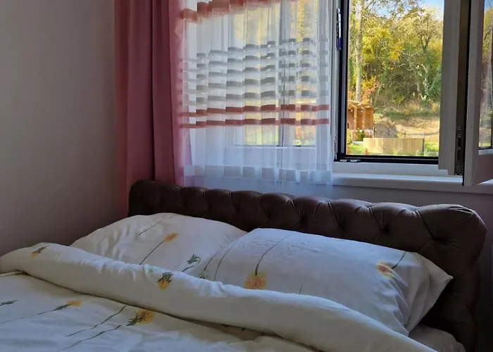 Aquarelle Sa Bazenom, Delux Sa Bazenom شقة